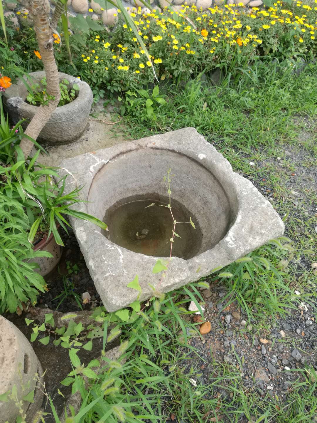 微信图片_20180828101331