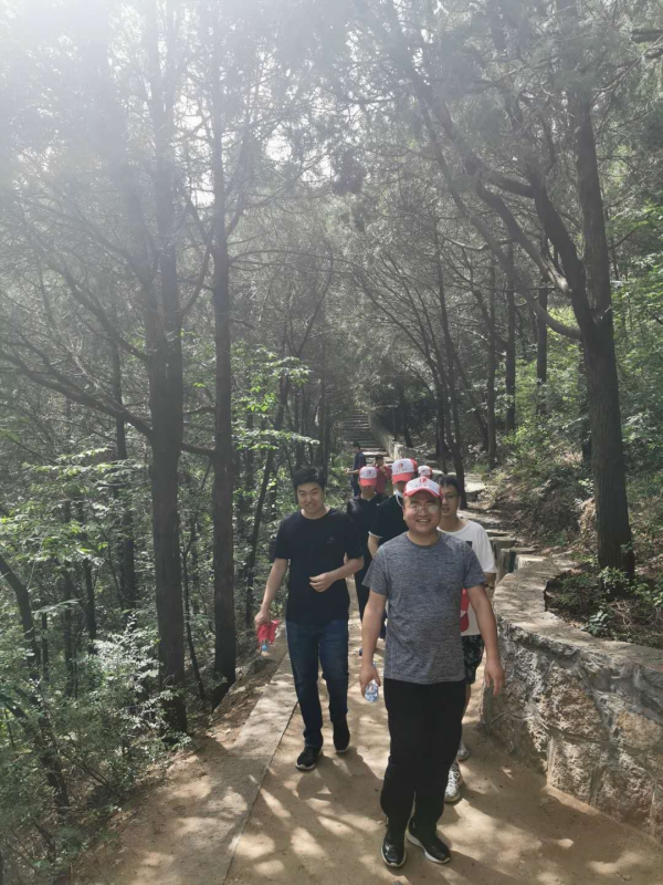 张光明律师